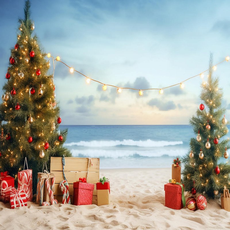 Beach Background Christmas Mini.jpg